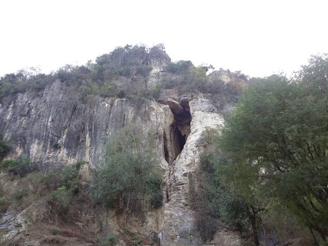 コウモリの大群が飛び出る洞窟