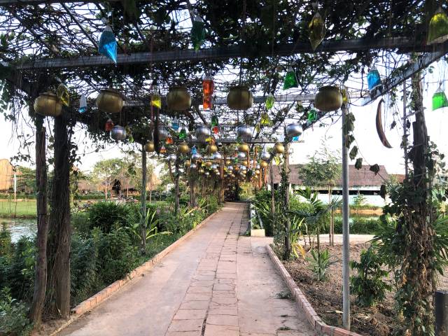 ロータスファームで食事を楽しむ