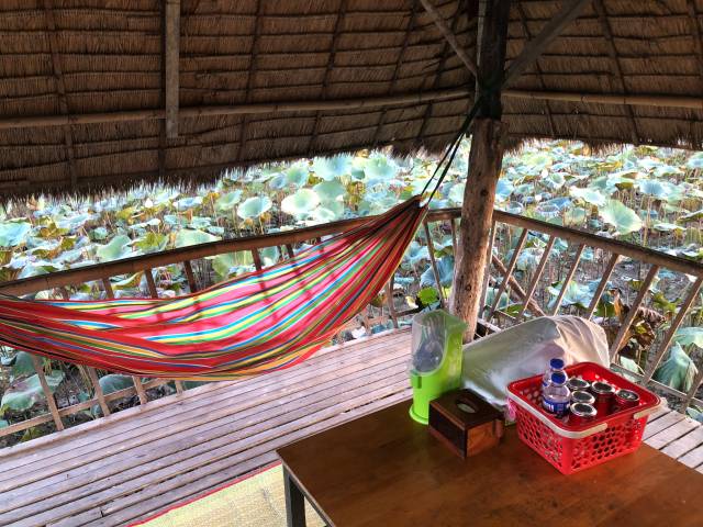 ロータスファームの食事できる小屋