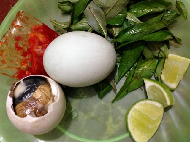 殻を割った孵化直前のアヒルの卵