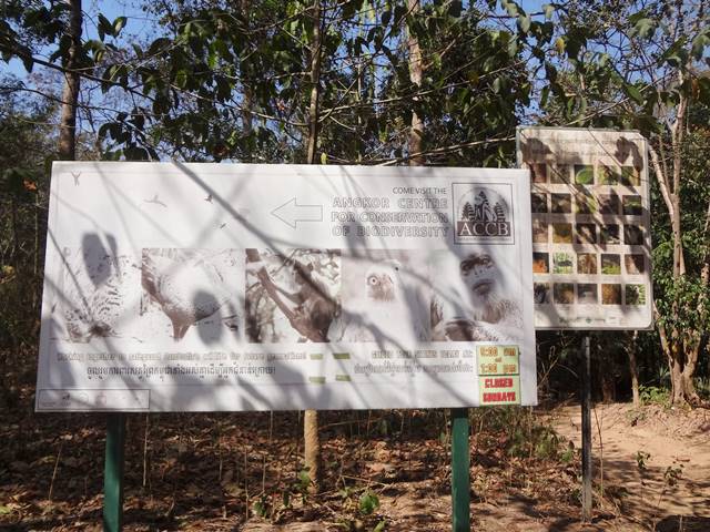 クバールスピアンの手前にある野生動物の保護団体「ACCB」