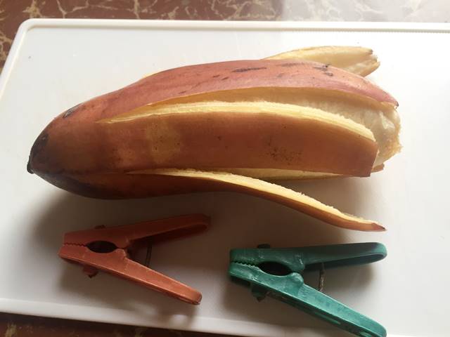 赤バナナの大きさ