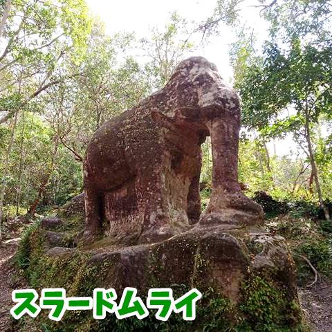 【スラードムライ】美しい巨大な象の像へ会いに行く