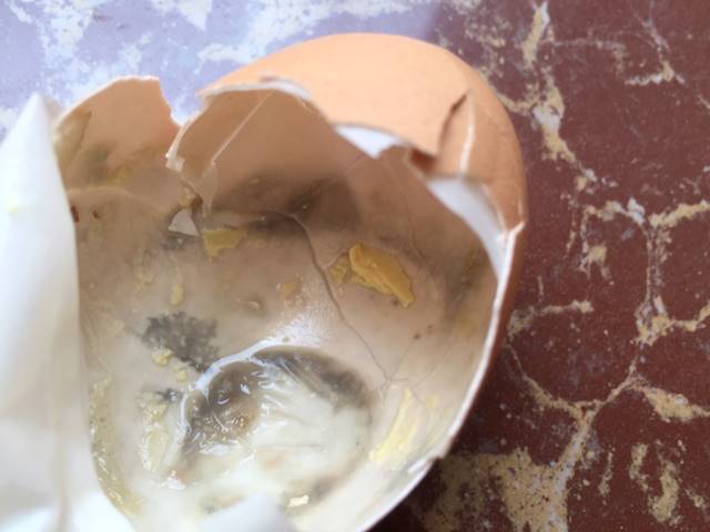 真っ黒に腐ってた卵の殻