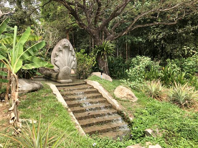 「アンコール・ボタニカル・ガーデン」のナーガの池