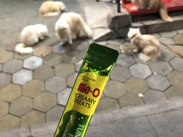 シェムリアップの猫ショップ・猫の餌2000リエル