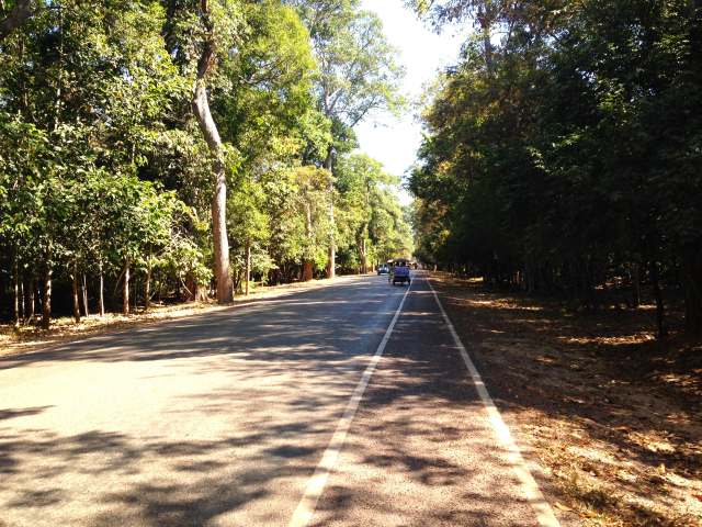 トゥクトゥクのチャーター予約@シェムリアップ観光